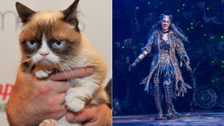 Grumpy Cat to Overshadow Leona Lewis in <i>Cats</i> on Broadway